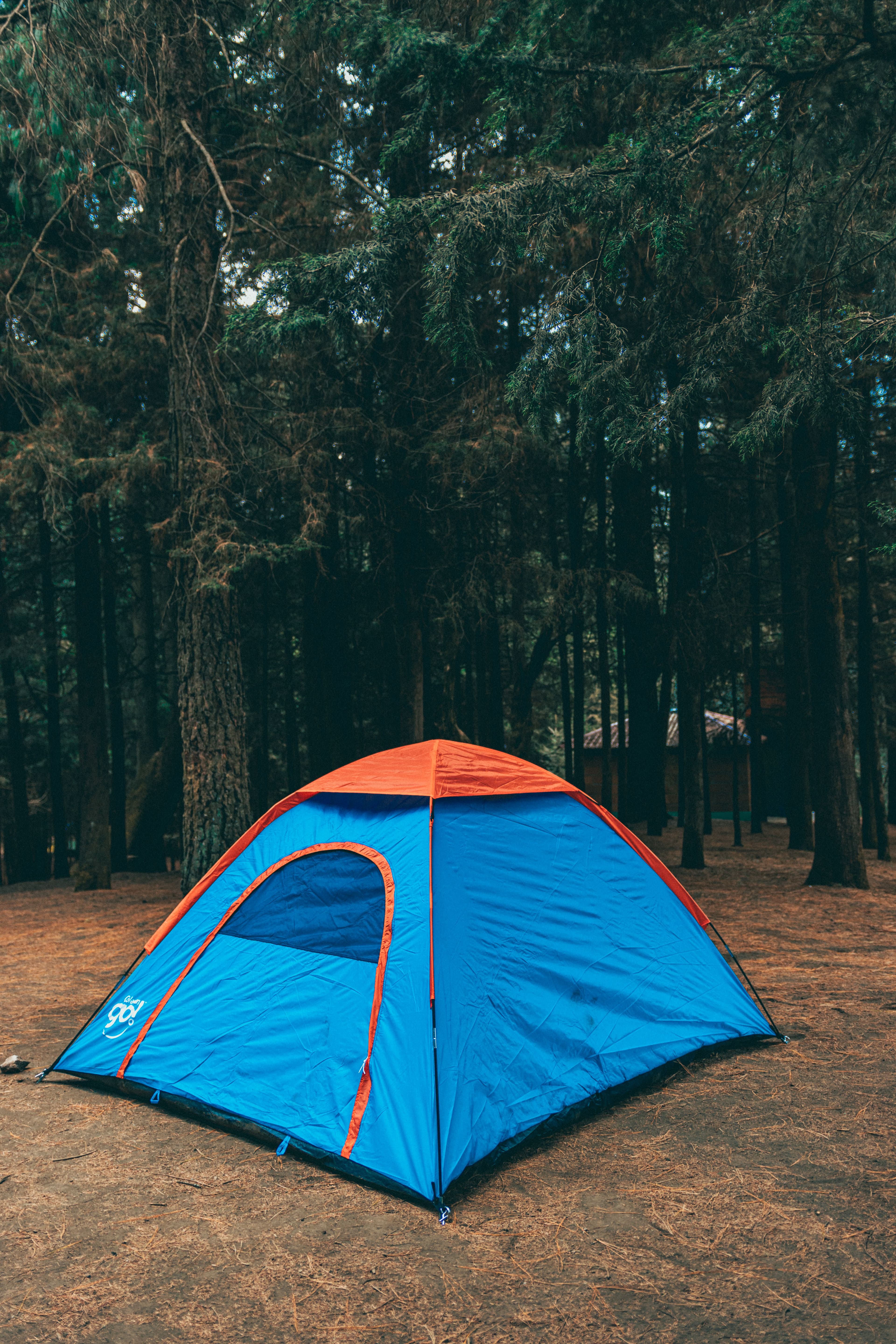 Blue Forest Tent