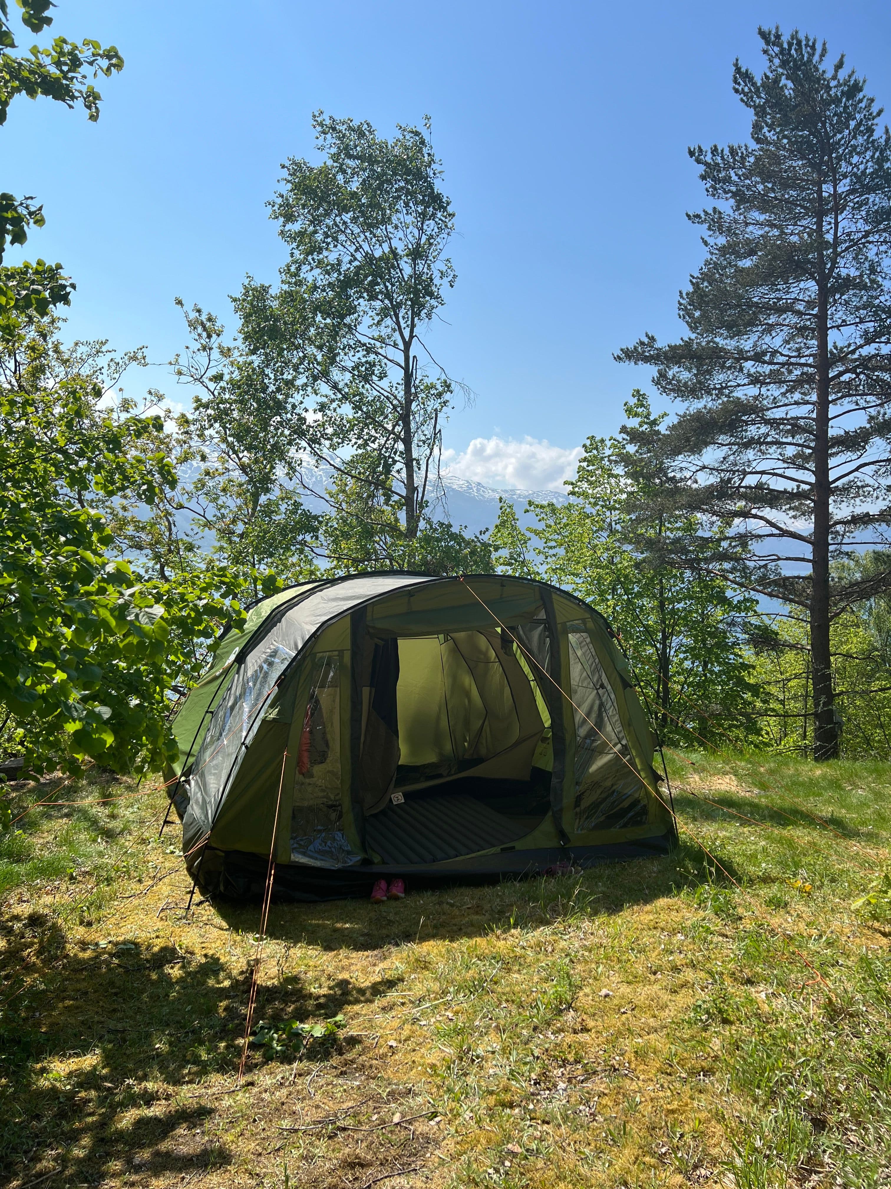 Green Forest Tent
